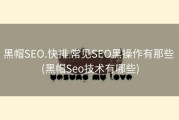 黑帽SEO.快排 常见SEO黑操作有那些 (黑帽Seo技术有哪些)