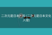 二次元是日本的吗 (二次元是日本文化入侵)