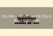 怎么分析一个网站的seo情况 (怎么分析一个股票的好坏)
