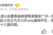 小熊猫：从 CP29 到 Only 展，漫展的变迁与回忆