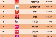 中国十大电商平台排名 (中国十大电商平台排名前十名)