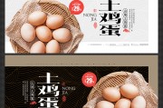 土鸡蛋和普通鸡蛋的区别是什么 (土鸡蛋和普通鸡蛋的区别)