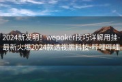 2024新发明！wepoker技巧详解用挂-最新火爆2024款透视黑科技-哔哩哔哩