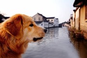你们听过苏州闻道网络这家公司么 有谁了解的来说说 (你们听过苏州话吗)