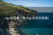 ngc标签哪个好 (ngc标签的图案)