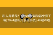 私人局教程！aapoker辅助器免费下载[2024最新开发黑科技]-哔哩哔哩