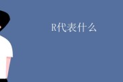 网站R么意思 (网站什么意思)