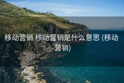 移动营销 移动营销是什么意思 (移动 营销)