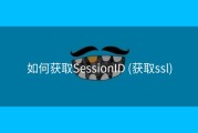 如何获取SessionID (获取ssl)