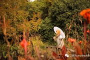 二次元 cosplay 大全：专访新西兰华裔音乐人兼钢琴老师的伪娘之路
