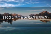 SEO怎么学习 (seo怎么学在哪里学)