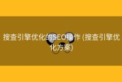 搜查引擎优化的SEO操作 (搜查引擎优化方案)
