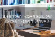 谁推荐下好的mv音乐在线网站 好的 我喜欢看mv (谁推荐下好的中药)