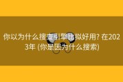 你以为什么搜查引擎比拟好用? 在2023年 (你是因为什么搜索)