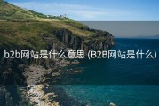 b2b网站是什么意思 (B2B网站是什么)