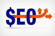 SEO 是什么意思 (抖音seo是什么)