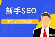 SEO基础学习之软文写作的类型有哪些 (seo基础课程)