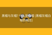 黑帽与灰帽? 什么是白帽 (黑帽灰帽白帽的概念)