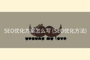 SEO优化方案怎么写 (SEO优化方法)