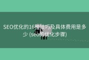 SEO优化的16种技巧及具体费用是多少 (seo的优化步骤)