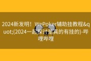 2024新发明！WePoker辅助挂教程&quot;(2024一起探讨是真的有挂的)-哔哩哔哩