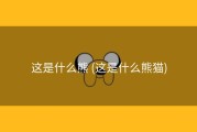 这是什么熊 (这是什么熊猫)
