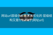 网站url层级优化是怎么优化的 层级结构又是什么样的 (网址url)