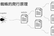 搜查引擎蜘蛛抓取不到网页内容是怎样回事 (搜索引擎 蜘蛛)