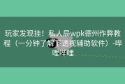 玩家发现挂！私人局wpk德州作弊教程（一分钟了解下透视辅助软件）-哔哩哔哩