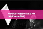 web前端img是什么标签 (web前端input属性)