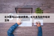 北大青鸟seo培训费用，北大青鸟软件培训怎样