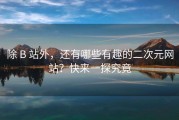 除 B 站外，还有哪些有趣的二次元网站？快来一探究竟