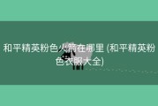 和平精英粉色火箭在哪里 (和平精英粉色衣服大全)