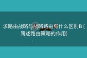 求路由战略与战略路由有什么区别B (简述路由策略的作用)