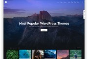 wordpress如何成功301跳转wordpress301插件 (wordpress)