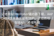 记者揭秘!WePoKer辅助器下载，AAPOKER原来确实是有挂的，详细教程（有挂AI）-哔哩哔哩