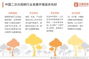 （报告下载）2019-2020中国二次元视频行业专题研究报告