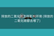 排放的二氧化硫怎样影响环境 (排放的二氧化碳都去哪了)