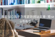 看看SEO高手怎样更新网站文章 (看seo书有用吗)