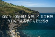 SEO在中国的畸形发展：企业考核压力下的不正当手段与行业现状