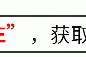 动漫网络趣缘群体概述：想象中的情感共同体