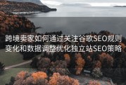 跨境卖家如何通过关注谷歌SEO规则变化和数据调整优化独立站SEO策略