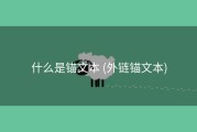什么是锚文本 (外链锚文本)