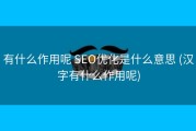 有什么作用呢 SEO优化是什么意思 (汉字有什么作用呢)