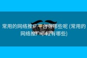 常用的网络推广平台有哪些呢 (常用的网络推广手段有哪些)