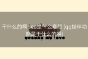 干什么的啊 seo是什么意思 (qq结伴功能是干什么的啊)