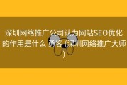 深圳网络推广公司认为网站SEO优化的作用是什么 勇客 (深圳网络推广大师)