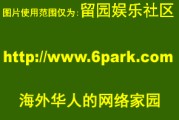 谷歌报毒怎样办 360检测网站安保 (谷歌报毒怎样删除)