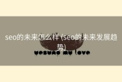 seo的未来怎么样 (seo的未来发展趋势)