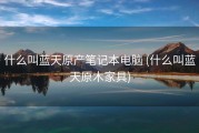 什么叫蓝天原产笔记本电脑 (什么叫蓝天原木家具)